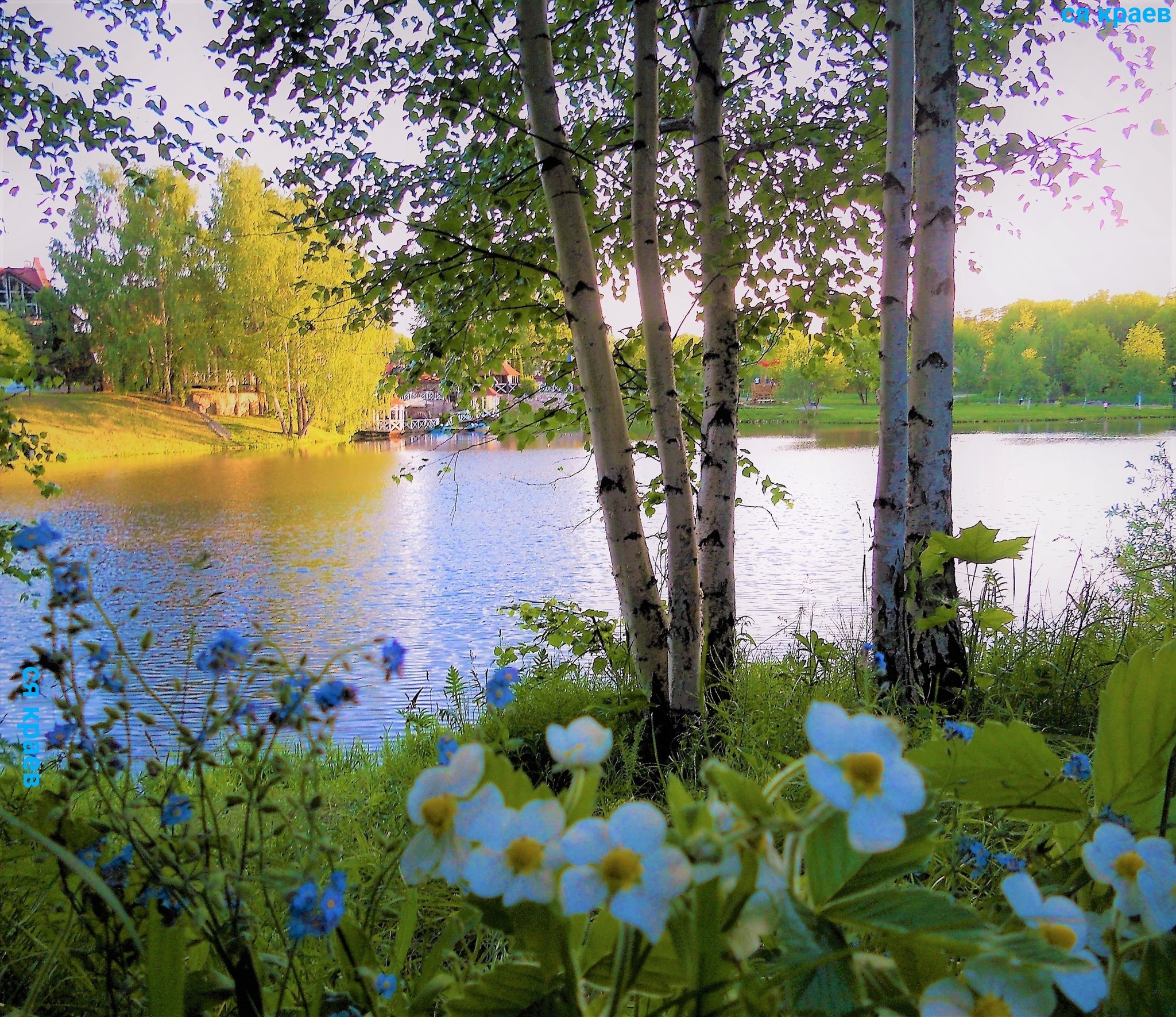 Картинки с добрым утром весенний пейзаж. Летний пейзаж. Красивые летние пейзажи. Русская природа летом.