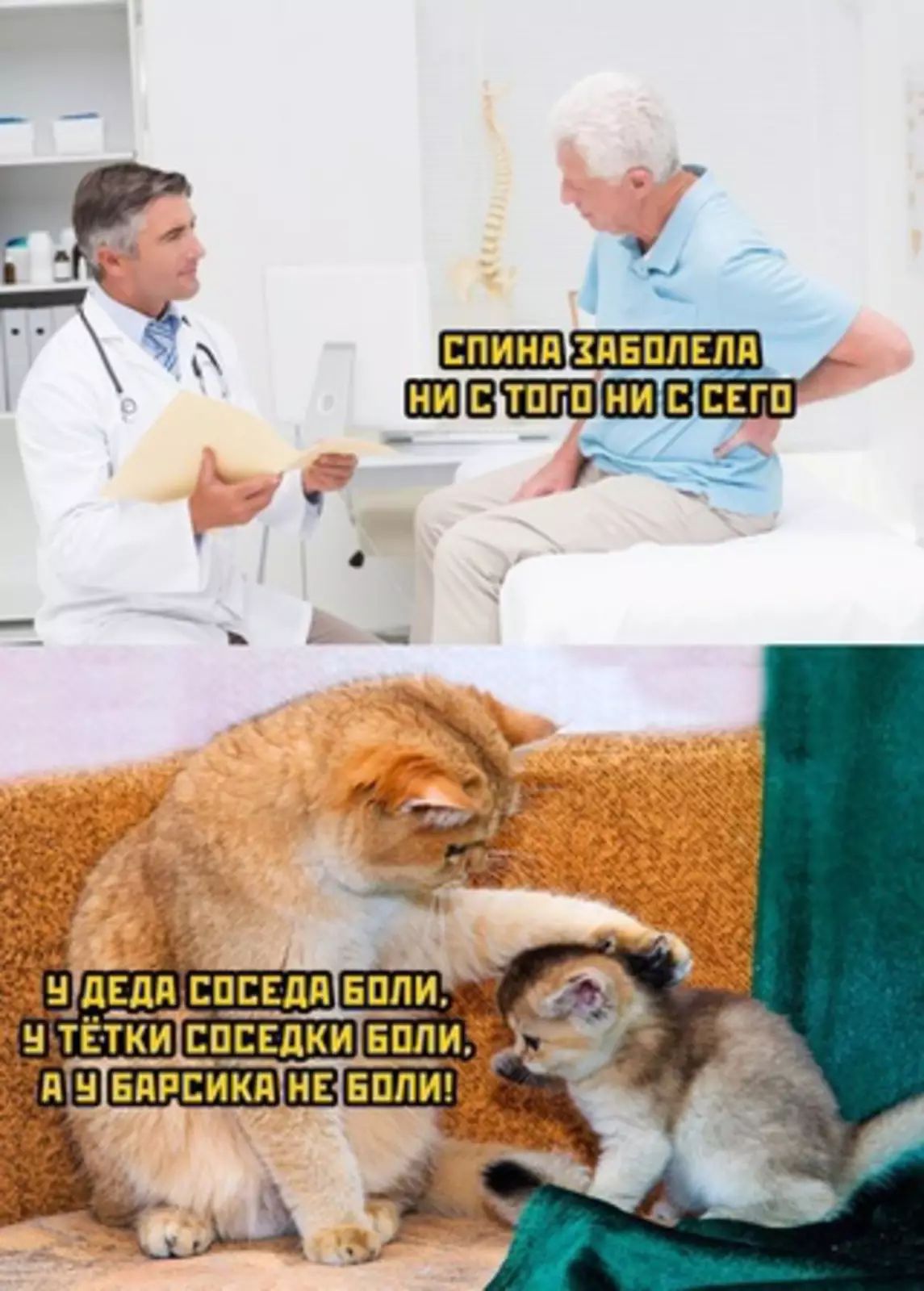 Спина Болеть Не Будет Прикол