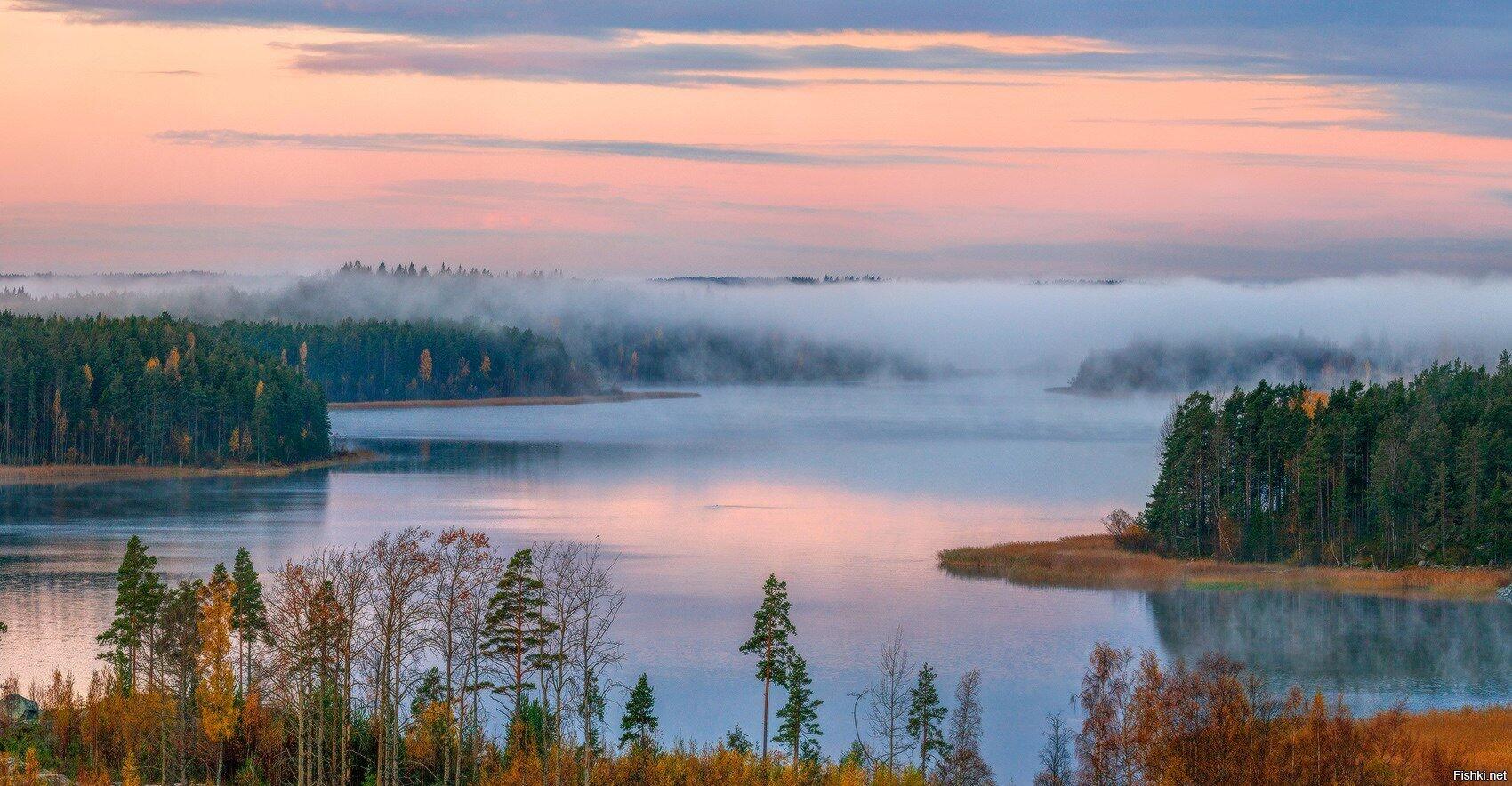 Особенности природы европейской части. Залив Кирьявалахти Карелия. Ладога природа Ладожское озеро.