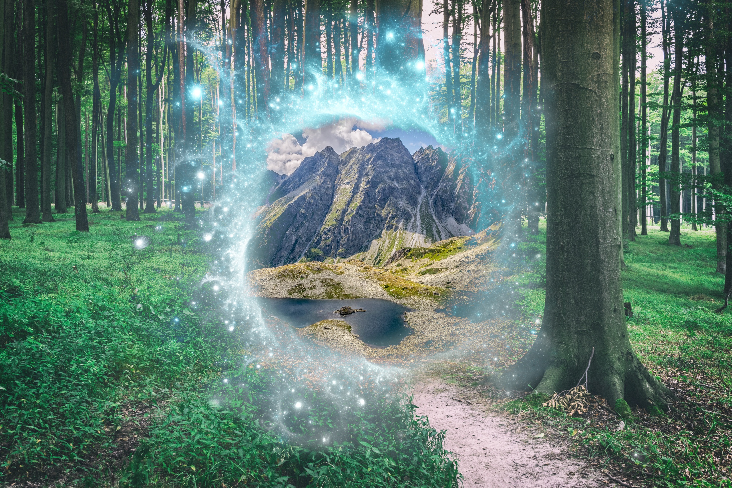 Portal magic seems to be. Портал в лесу. Magic Portal. Dimensional Portal Art. Dimensions photo.