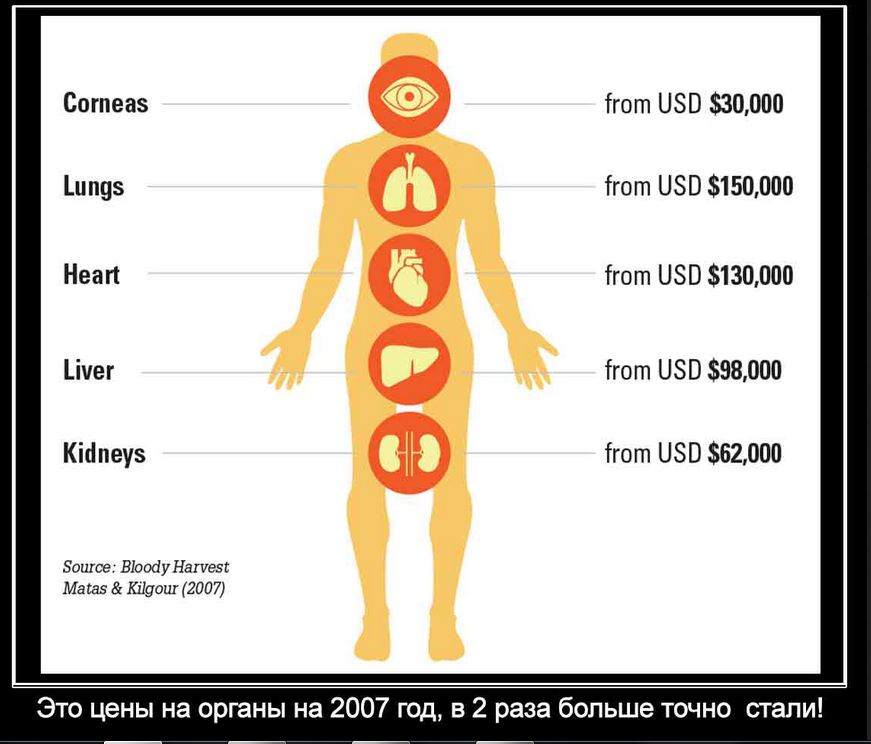 Стоимость органов картинки