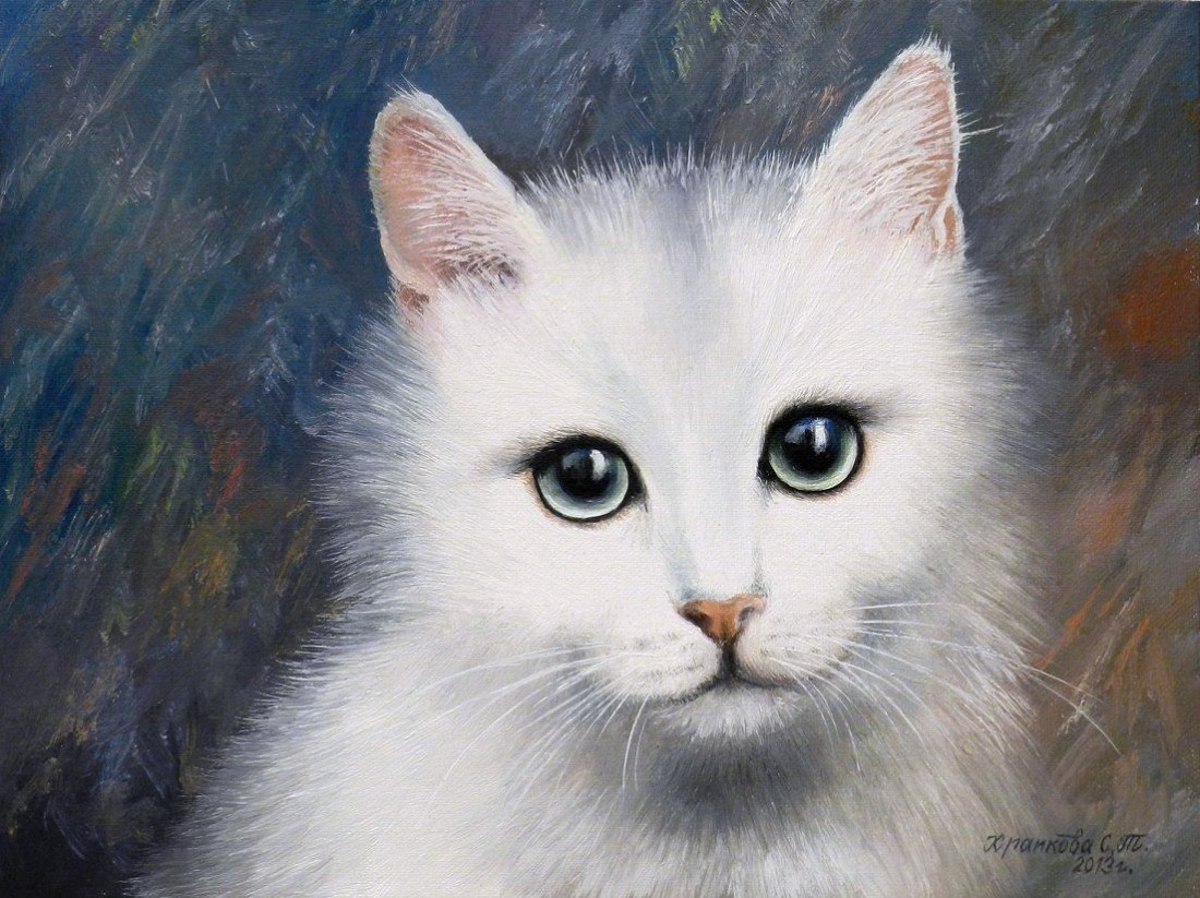 Белый кот маслом