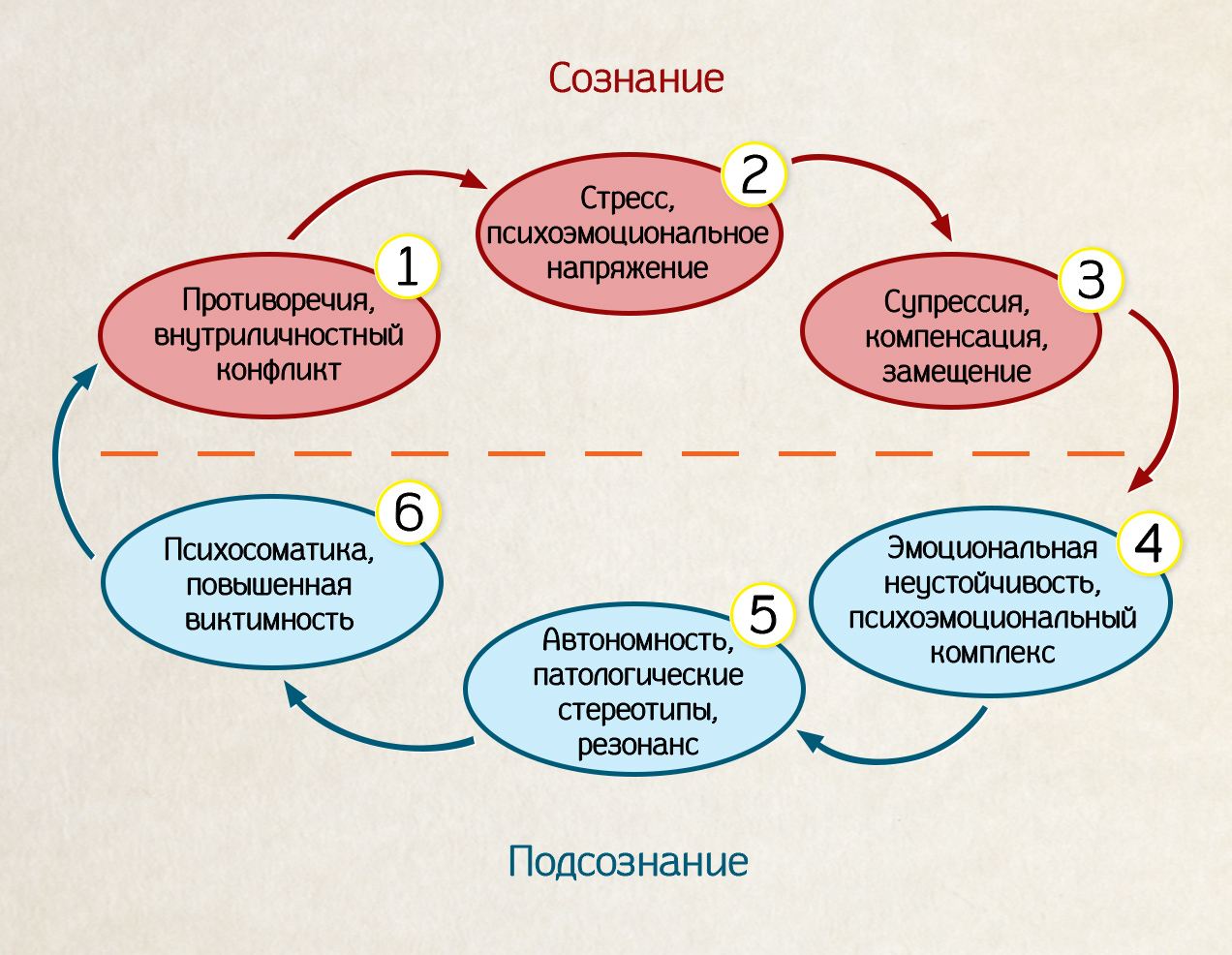 Сознание мышление душа проект по обществознанию