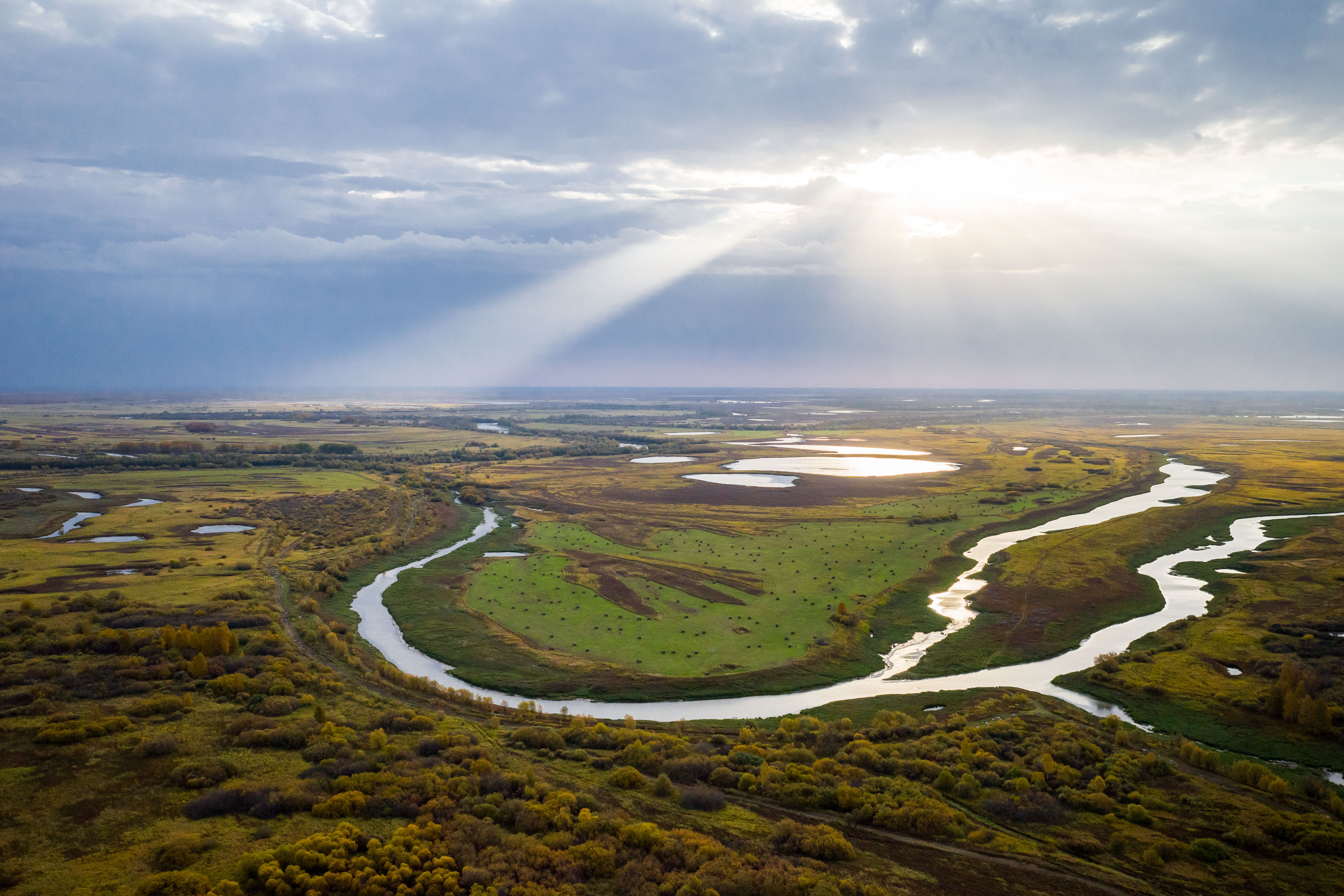 Крупнейшей рекой западной сибири является. Васюганские болота Томская область. Томск Васюганское болото. Западно Сибирская равнина Васюганское болото. Васюганские болота, Сибирь.