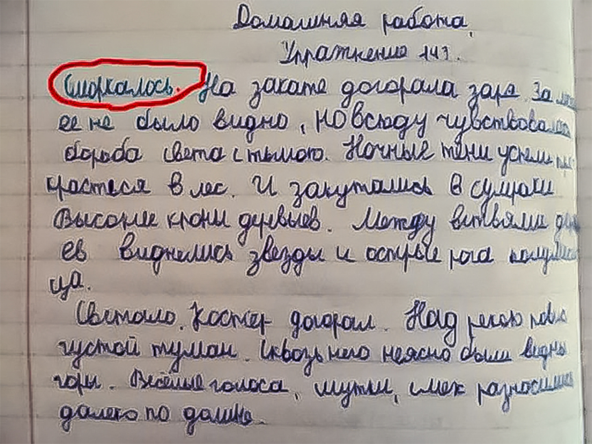 Расскажите об интересном школьном проекте в котором вы принимали участие