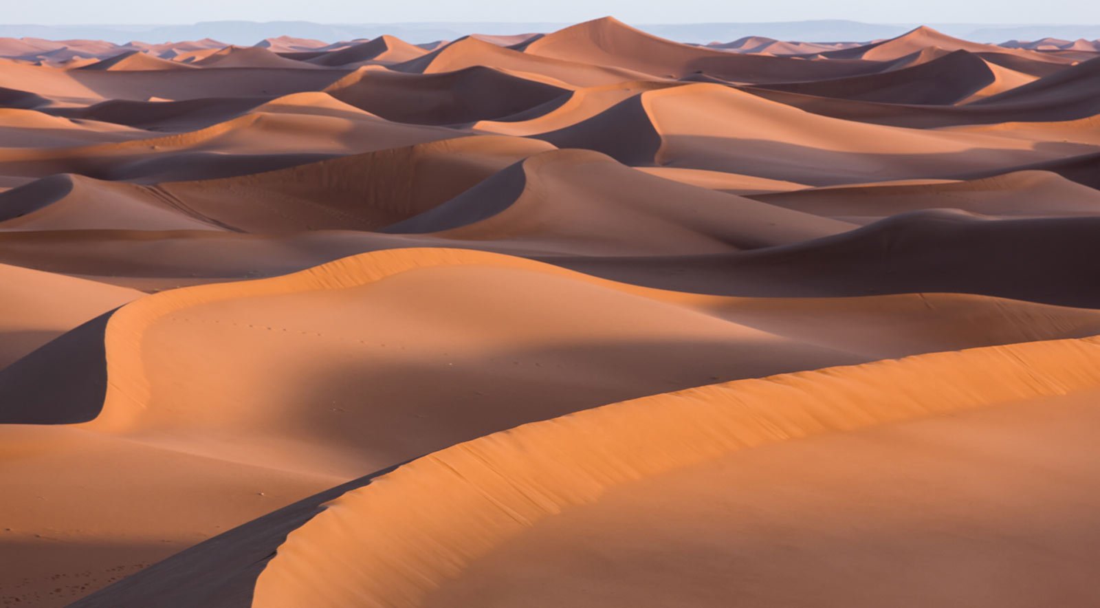 Am desert. Пустыня Барханы Оазис. Пустыня сахара дюны. Тунис Барханы. Сахара Оазис.