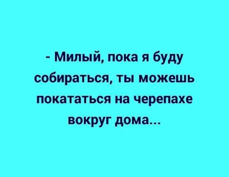 Песня пока милый иди. Пока милый. Можно прокатиться на черепахе?. Пока милашка. Пока милая.