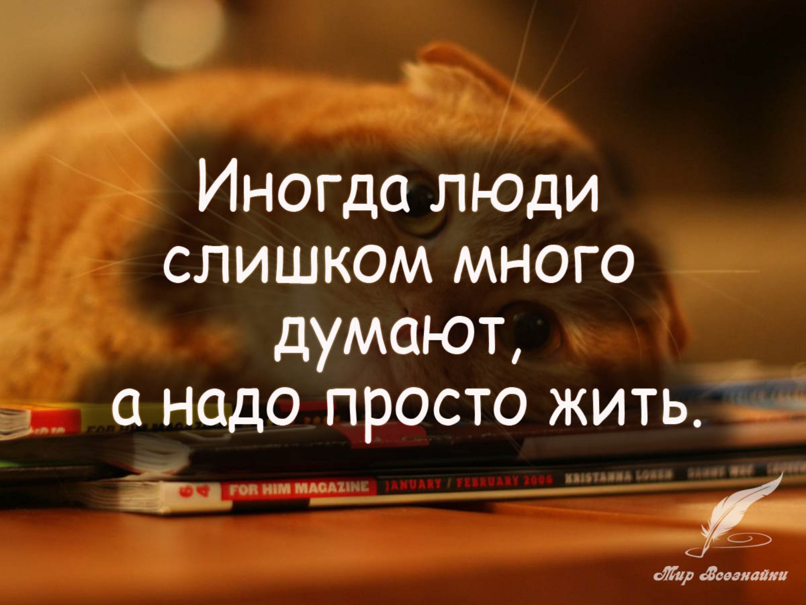 Чем должен жить человек. Жить надо высказывания. Думать надо о хорошем цитаты. Просто жить цитаты. Цитаты помогающие жить.