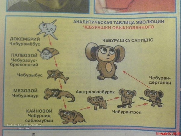 Cheburashka Порно Видео | demidychbread.ru