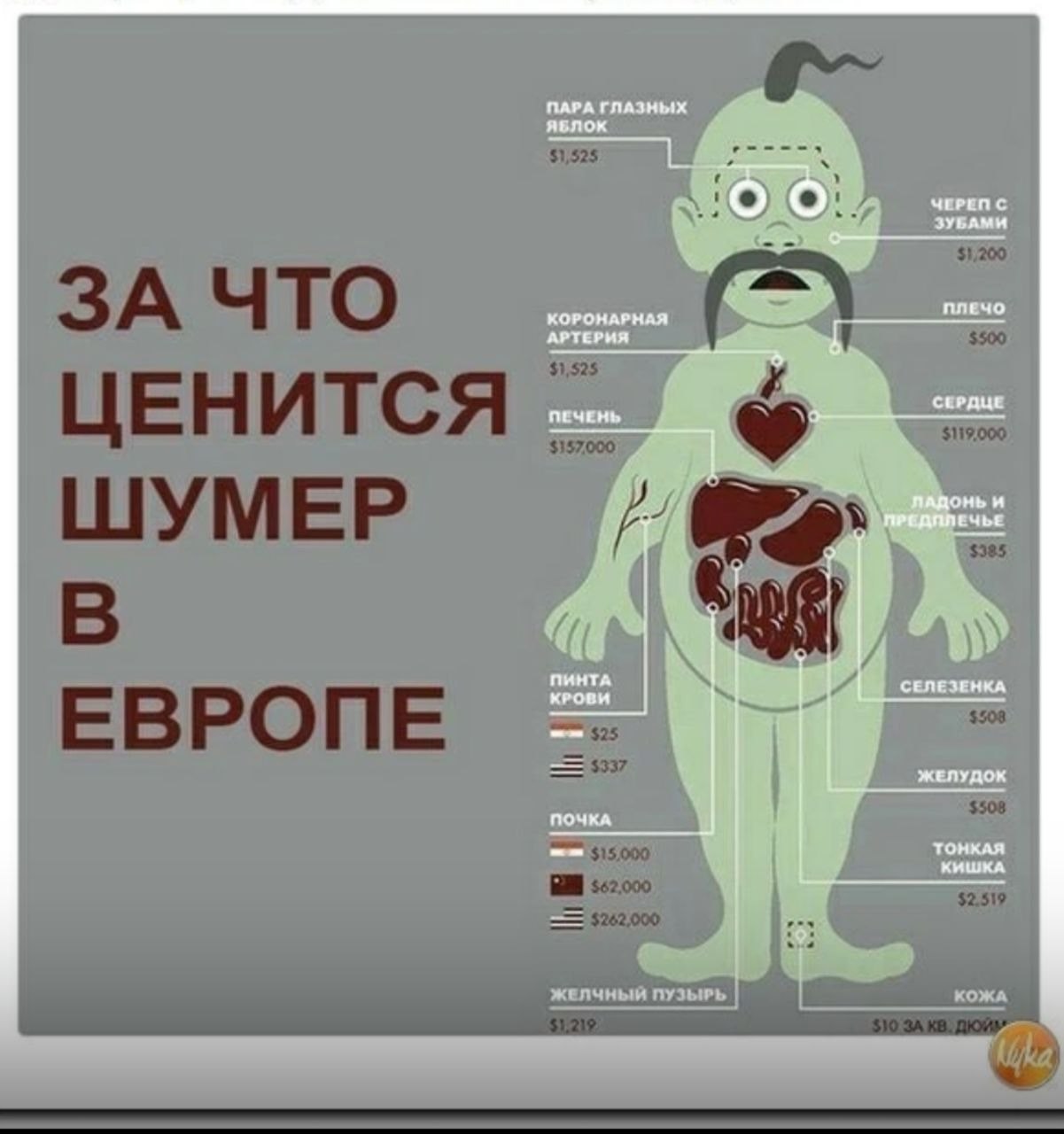 Самой дорогой орган человек. Стоимость органов человека. Стоимость человеческих органов на черном рынке. Колько стоят органы человека.