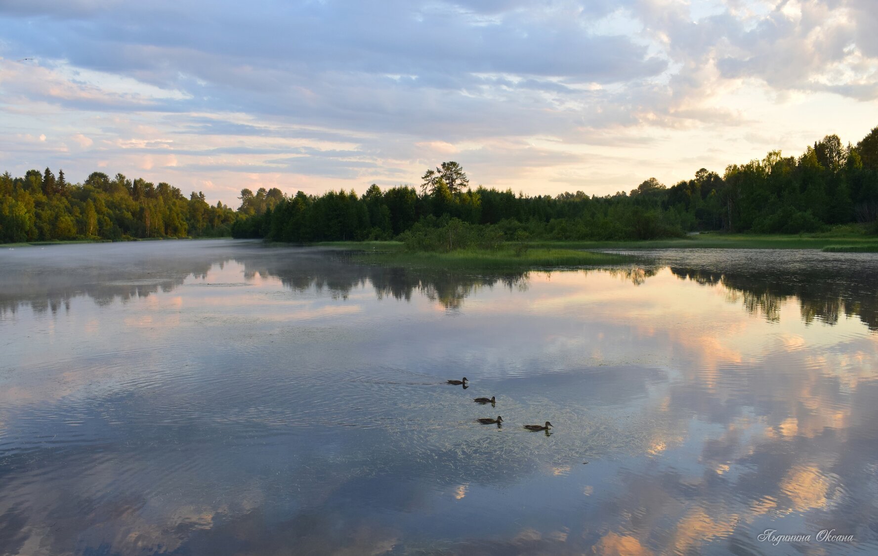 Емца плесецк. Нюксеница (река).