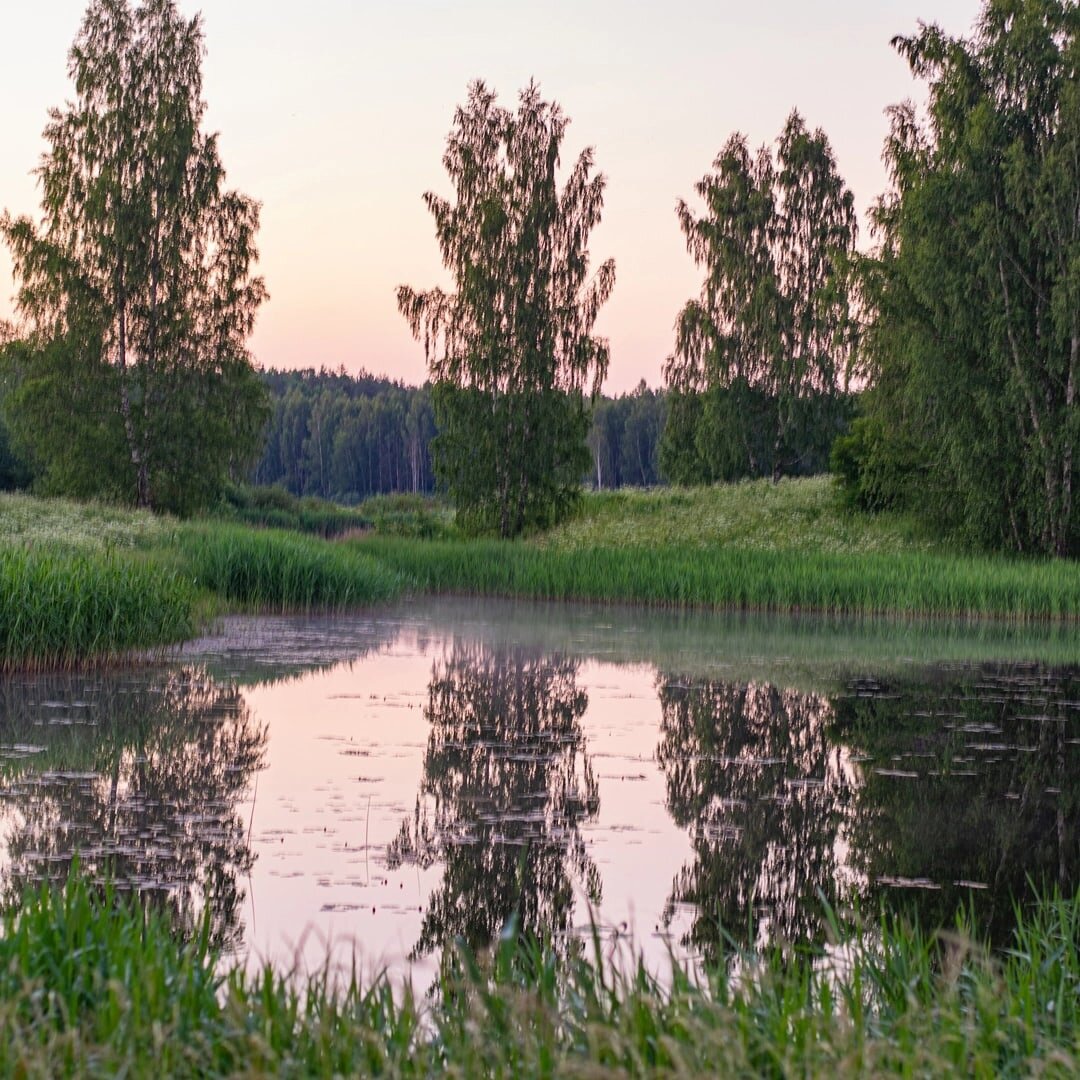 Псковская земля