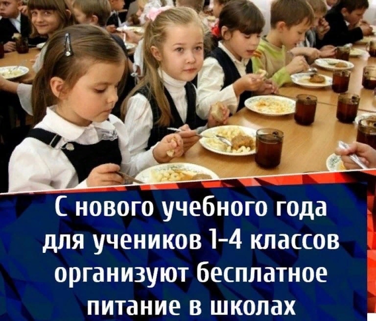 Платная школа для детей. Горячее питание в школе. Бесплатным горячим питанием младших школьников. Обеды для школьников. Питание в школьной столовой.