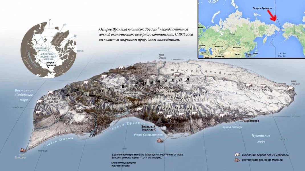 Где находится врангеля на карте. Местоположение заповедника остров Врангеля. Заповедник остров Врангеля на карте. Заповедник остров Врангеля расположение на карте. Природный комплекс заповедника остров Врангеля на карте.