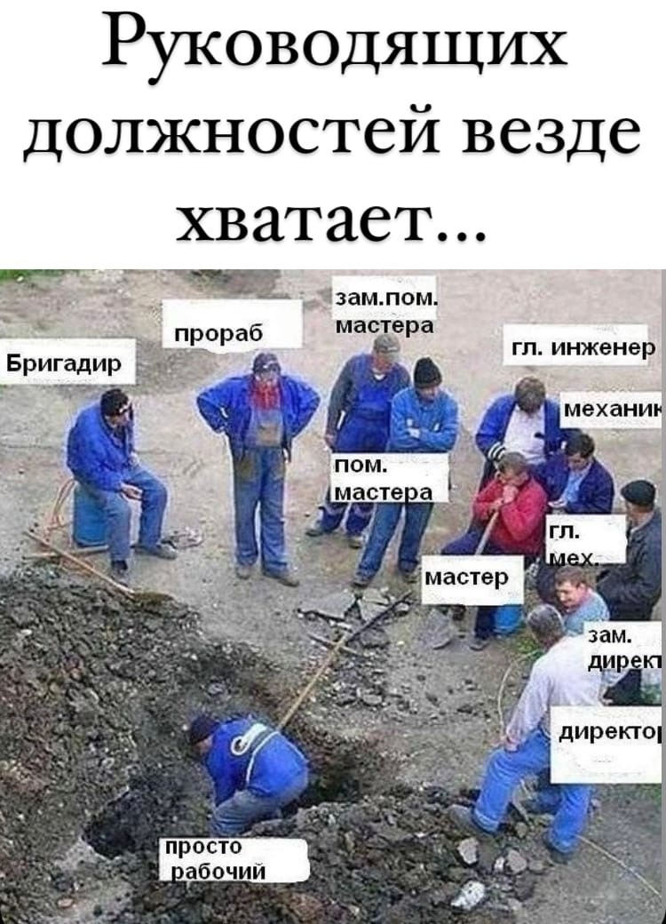 Вася и менеджеры картинка