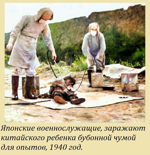 "Военные преступления совершали только электрики!"