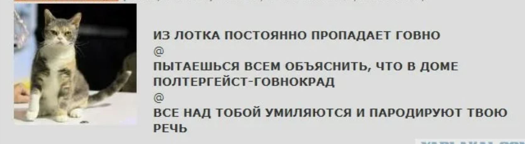 Ответить пропадал. Полтергейст говнокрад. Кто ворует какашки из лотка. Котик всегда из лотка. Куда деваются какашки из лотка.