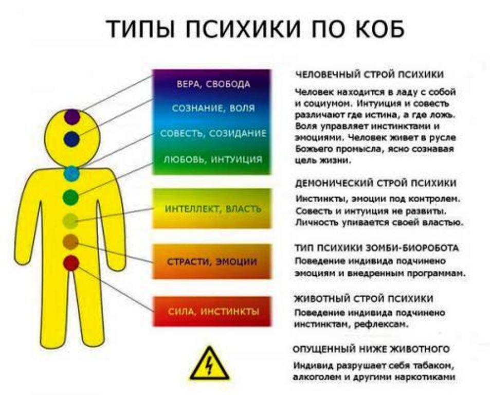 Коб это. Типы психики человека КОБ. Типы строя психики по КОБ. Демонический Строй психики КОБ. Человечный Тип строя психики.