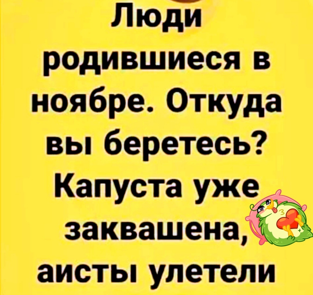 Вы откуда. Люди родившиеся в ноябре откуда вы беретесь капусту уже заквасили. Люди родившиеся в ноябре откуда вы беретесь капуста. Аист улетели капуста заквашена. Картинка люди родившиеся в ноябре откуда вы беретесь.