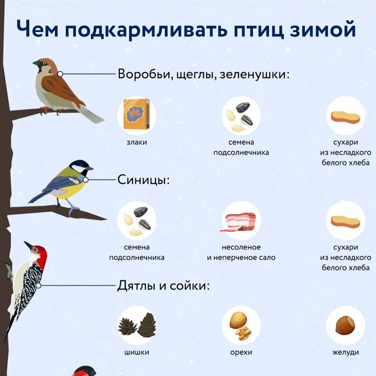 Что можно птицам. Можно ли кормить птиц хлебом. Почему нельзя кормить птиц хлебом. Какой хлеб можно давать птицам. Можно ли кормить птиц белым хлебом.