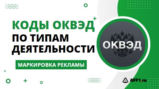 Код ОКВЭД — 62.09 в 2024 году