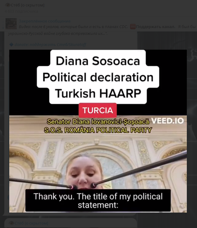 Румыния телеграм. Sosoaca Diana Senator.