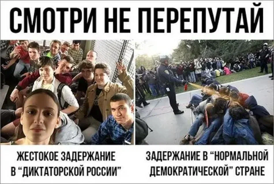 Демократия картинки юмор