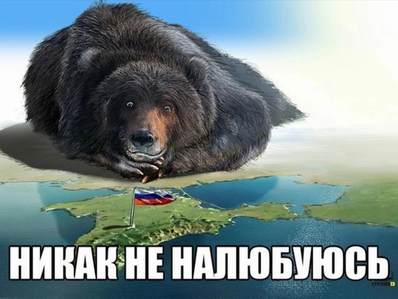 Никак не в связи. Медведь Россия. Медведь Россия картинки. Никак не налюбуюсь. Крым наш никак не налюбуюсь.