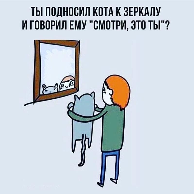 Карта куда угодно