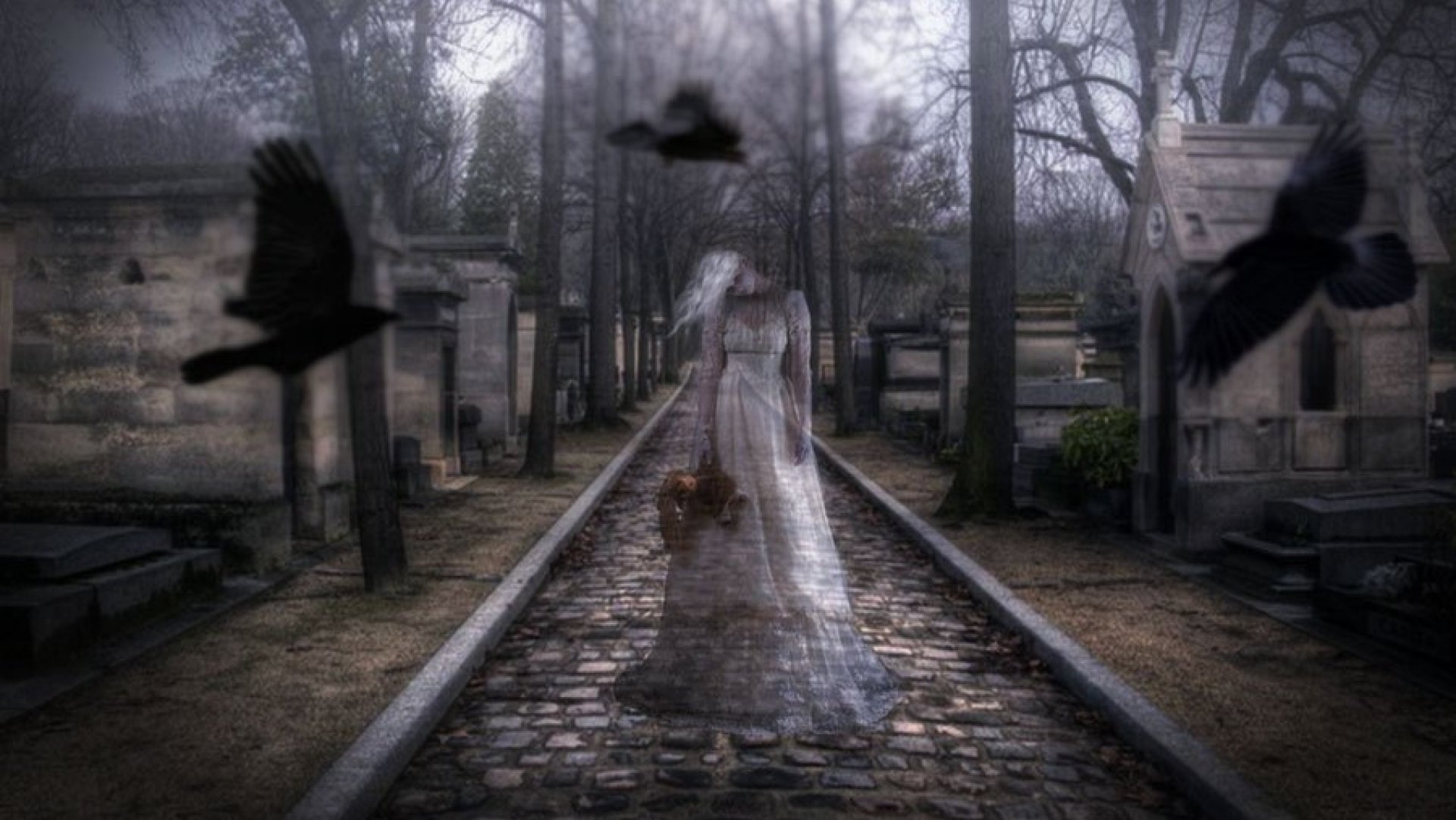 К чему снится сон ходить по кладбищу. Мистическое кладбище. Привидение мистика. Кладбище мистика.