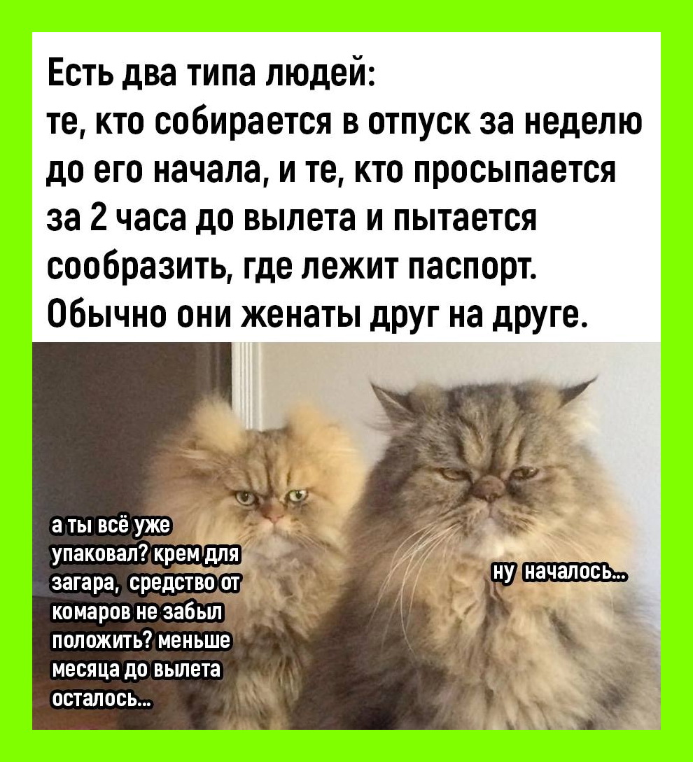 Продаю грабли с кривой ручкой: наступаешь ты, а по лбу получает идущий ...