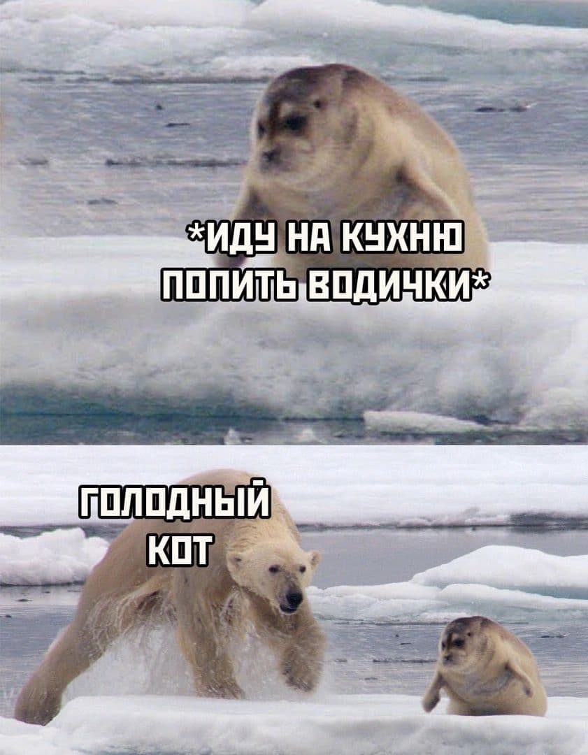 Топ Шутки 2024