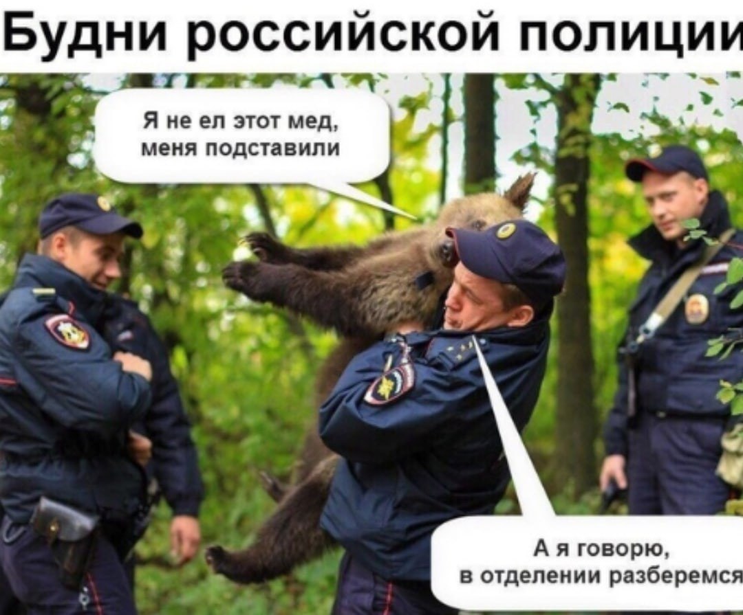 Приколы Про