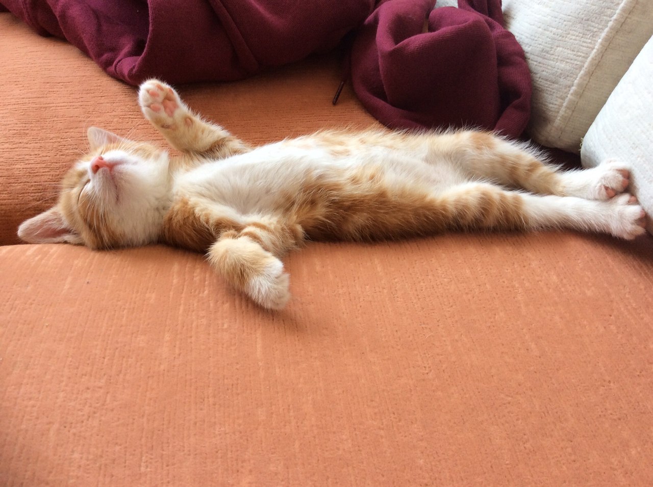 удобно приятно. парень и девушка беседуют. кот на диване. стих про телевизор. спокойной ночи.