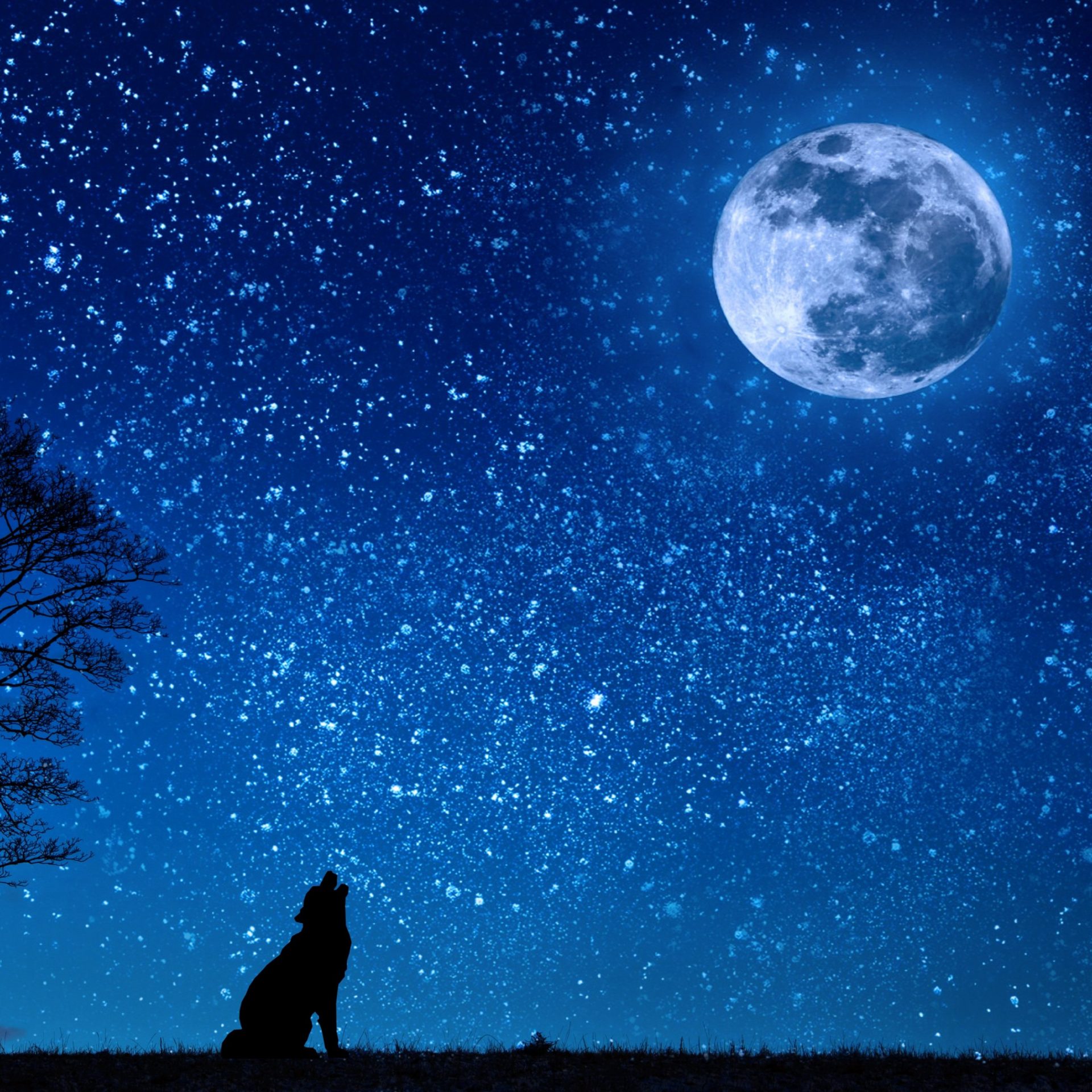 Ночная небо звезды луна. Луна на небе. Звездное небо с луной. Ночное небо с луной. Лунное небо.