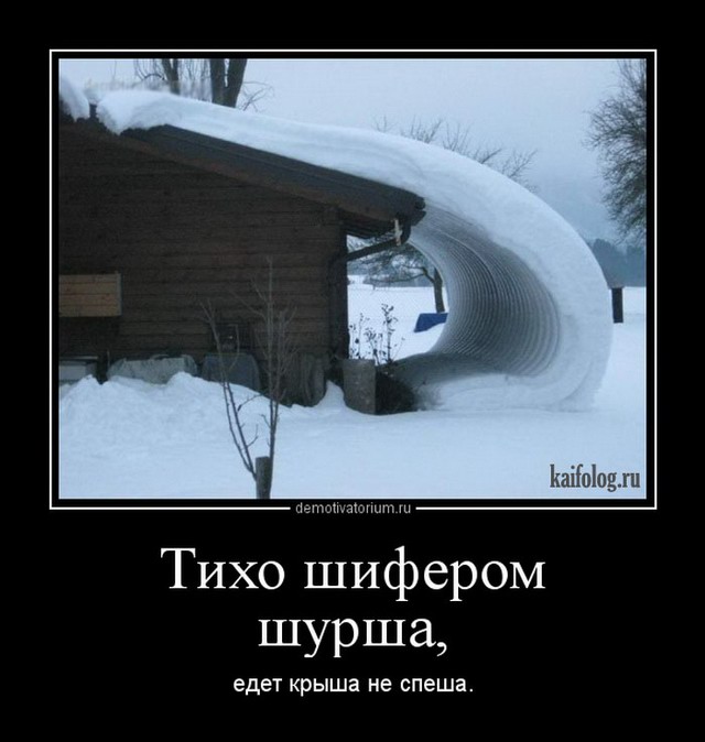 Русские пережили Батыя и Чубайса, поэтому никакие санкции им не страшны