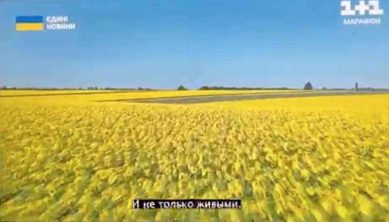 На Украине предложили мёртвыми ВСУшниками удобрять поля