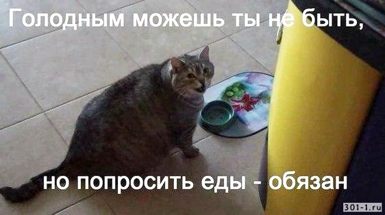 Русские пережили Батыя и Чубайса, поэтому никакие санкции им не страшны