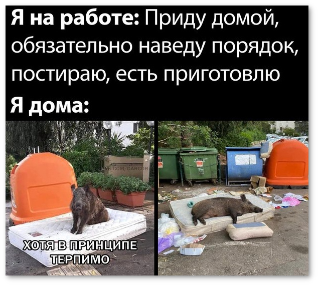 Русские пережили Батыя и Чубайса, поэтому никакие санкции им не страшны