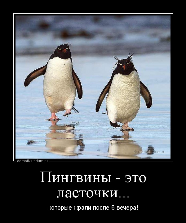 Русские пережили Батыя и Чубайса, поэтому никакие санкции им не страшны