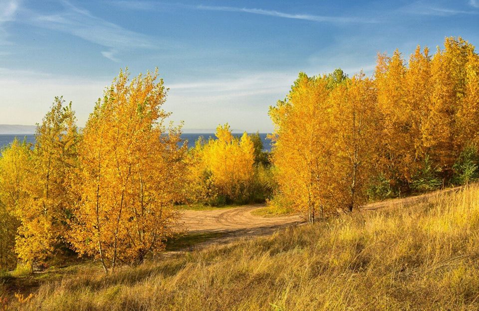 Часто осенью. Ставрополье природа пейзажи осень. В их сенях. Красоты России фото фотографии для школы. Картинка в лесных сенях ветра шум.