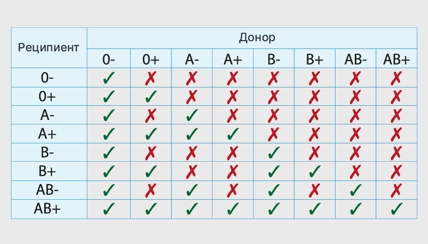 Совместимость мужчин и женщин по группе крови: мужчины с четвёртой группой крови