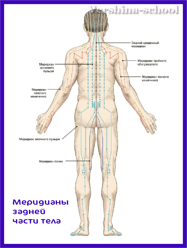 Массаж 12 меридианов | Центр китайской медицины ДАМАО