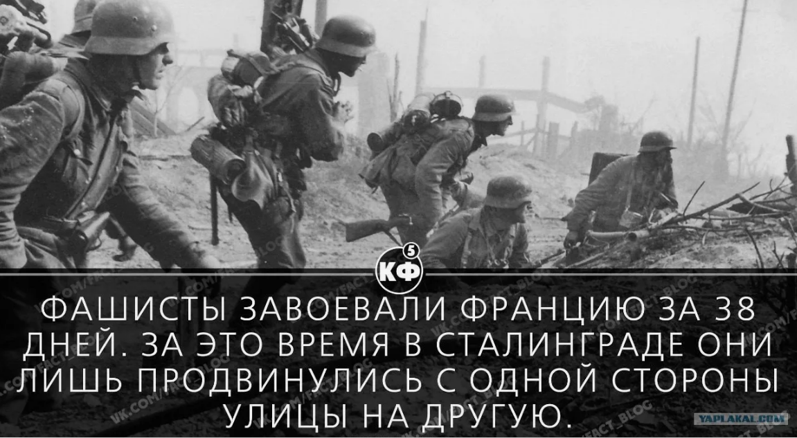 Хорошо захвачу. Гитлеровцы завоевали Францию за 38 дней в Сталинграде. Мемы про Сталинград.