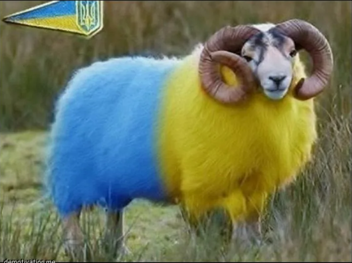 И какие коммунальные услуги были предоставлены украинской стороной?