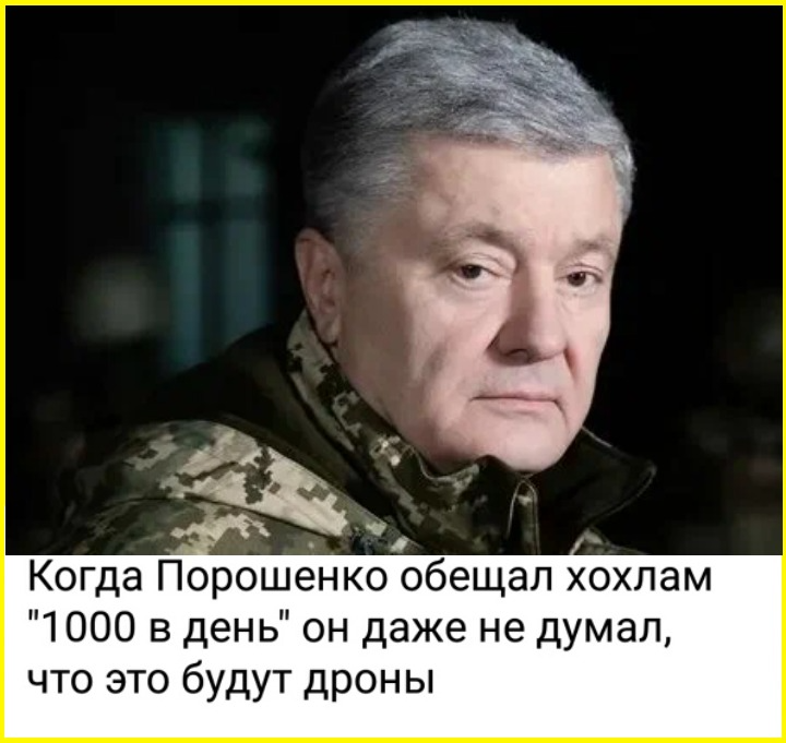 https://cont.ws/uploads/pic/2025/7/image%20%282713%29.png