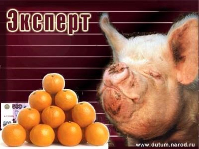 Страны, эксперт смешные картинки