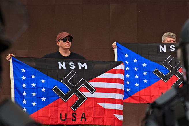 Фашистская америка. Нацистская партия Америки. Америка фашисты. Американские нацисты.