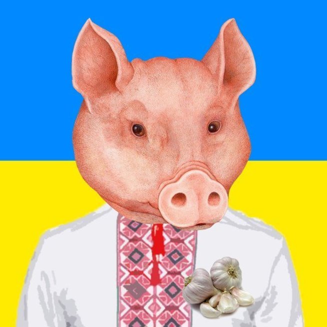 Русский свинка. Украинская Бимба Свинка.