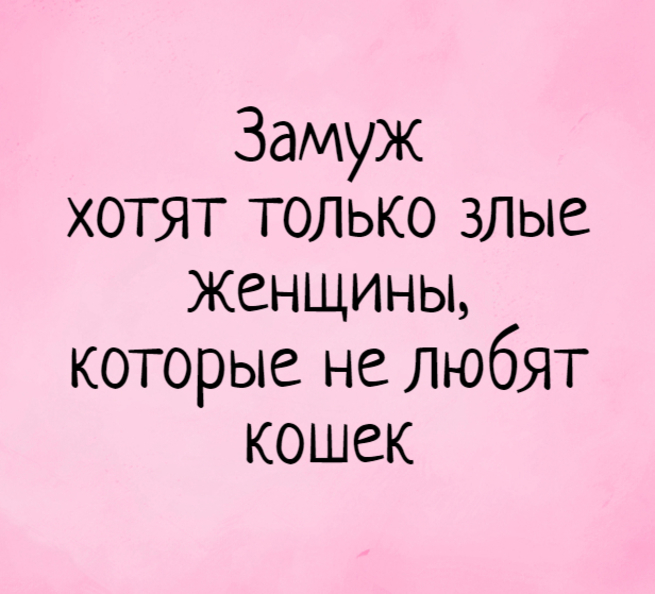 1702384.jpg